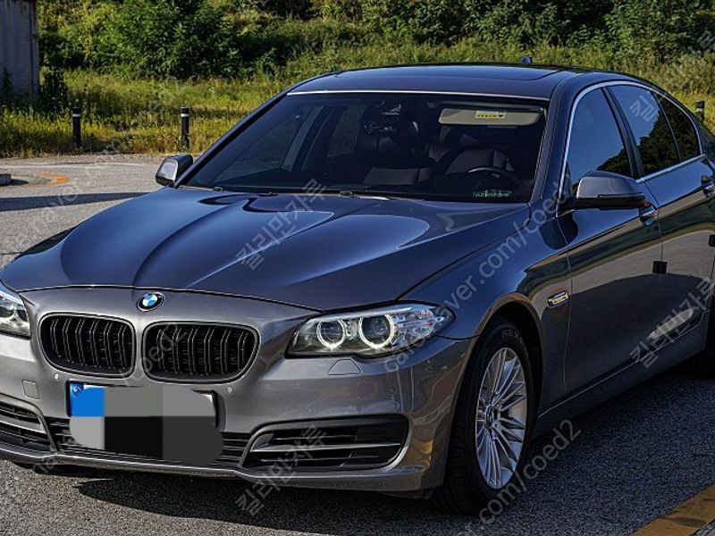 2014 BMW 5-Series 520d Luxury photo 4